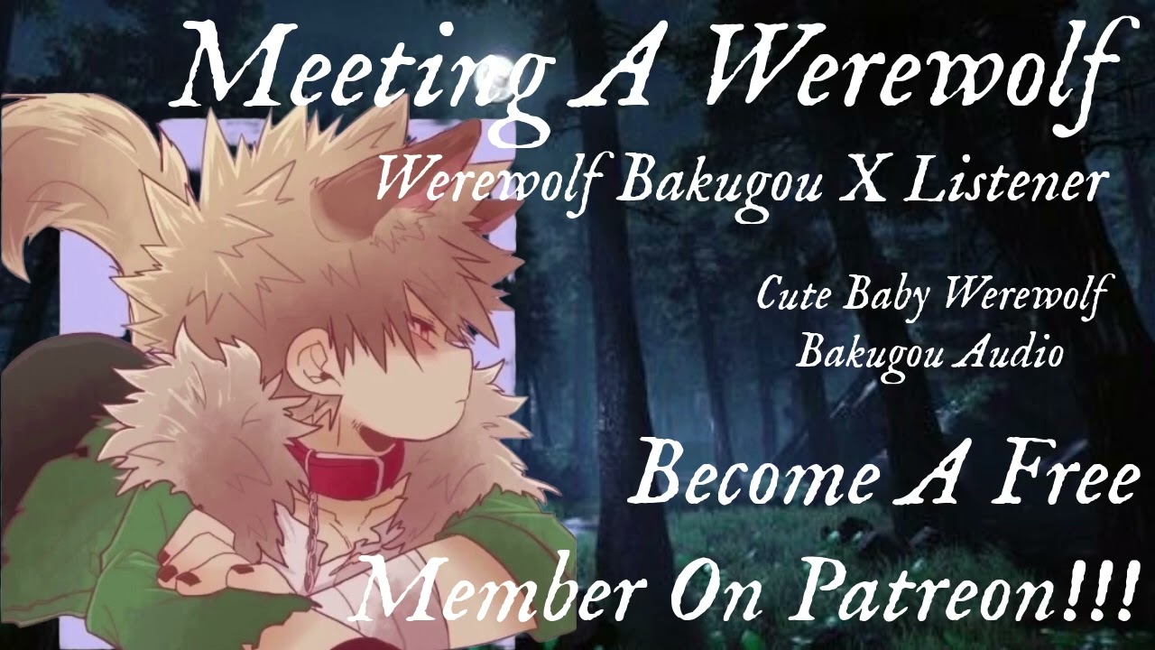 Meeting A Werewolf | Werewolf Bakugou X Listener | Cute Baby Werewolf Bakugou Audio | BAFMOP 