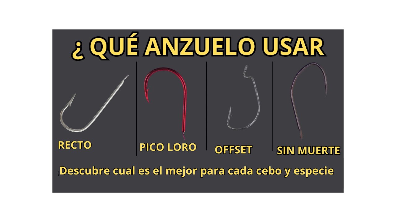 Tipos de Anzuelos para Pescar | Cuál elegir según la especie y el cebo