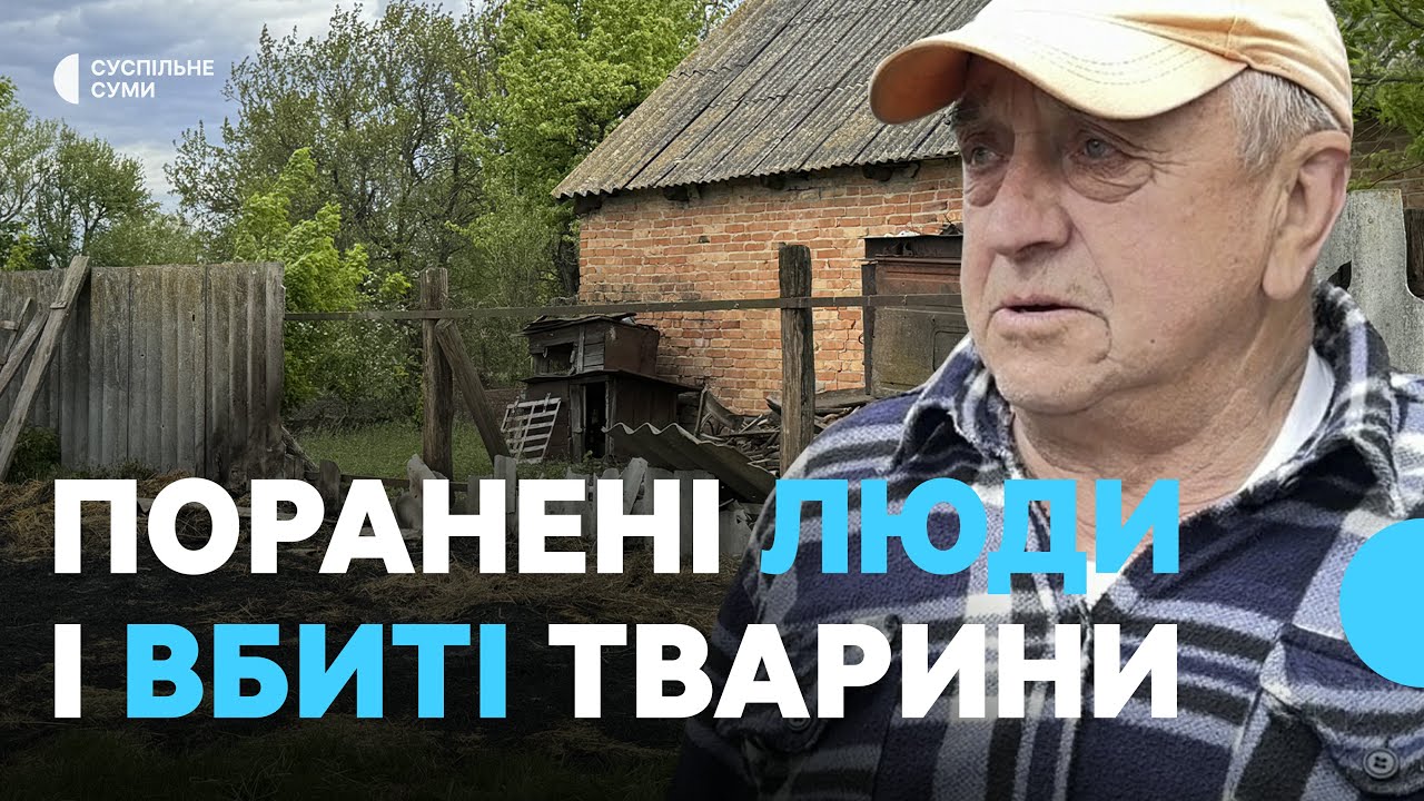 Поранені люди і вбиті тварини: війська РФ обстріляли Олександрівку з РСЗВ “Смерч”