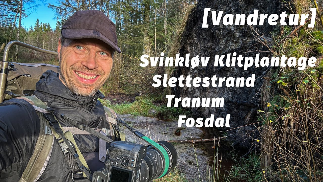 Vandretur ved Tranum, Fosdal og Svinkløv Klitplantage [Mikroeventyr]