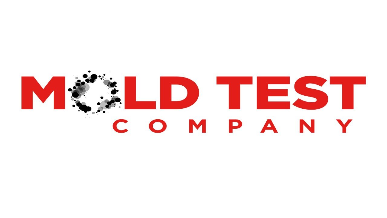 Signals of Mold Sickness and Mold Exposure: What To Expect - Mold Test Company