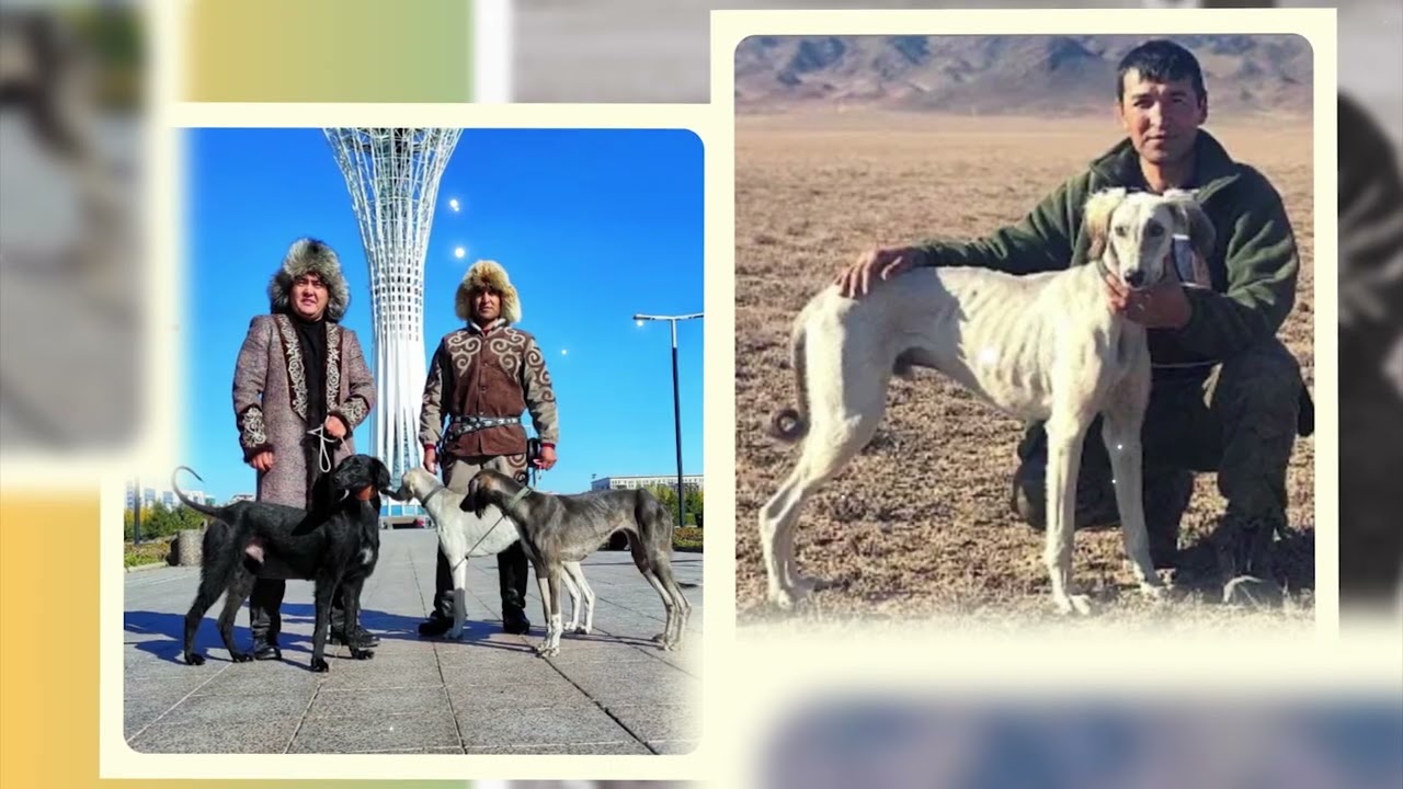 Тазы баптау