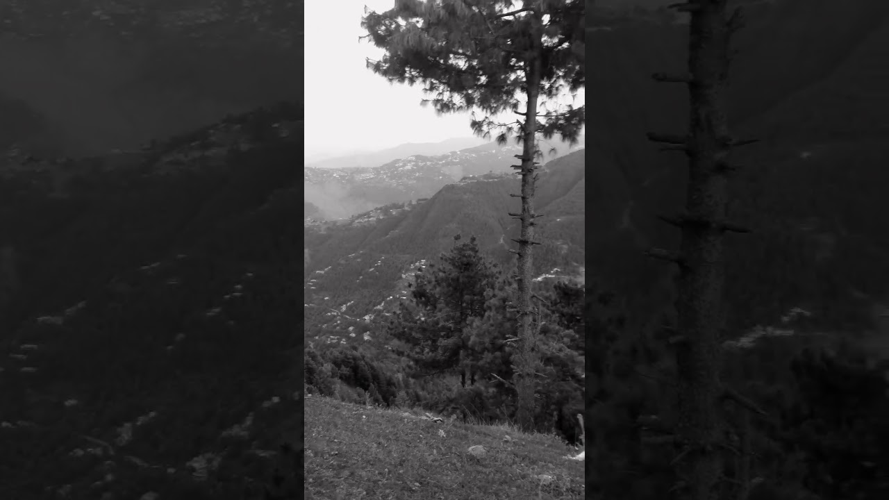#pakistan