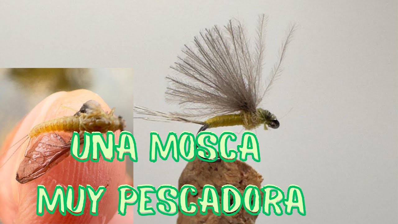 Una Mosca efémera, muy pescadora, para aquellas truchas difíciles.