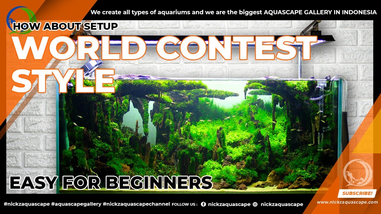 AQUASCAPE STYLE CONTEST || NICKZ AQUASCAPE