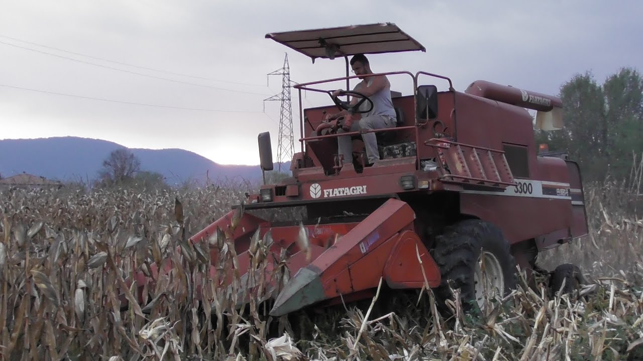 [TREBBIATURA MAIS 2021] FIATAGRI 3300 - NEW HOLLAND 65-66 S