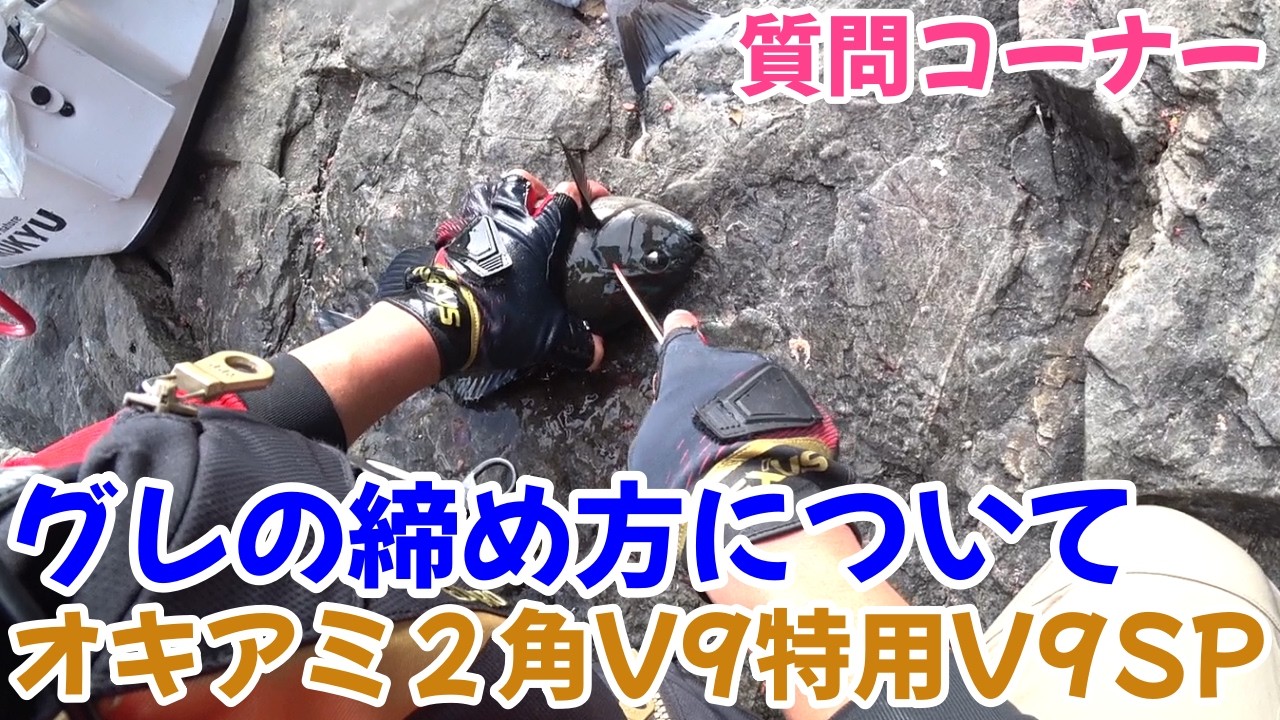 グレを締める動画が見たいです　グレの締め方　　オキアミ２角V９特用、V9SPで何時間分のマキエですか？　　質問コーナー