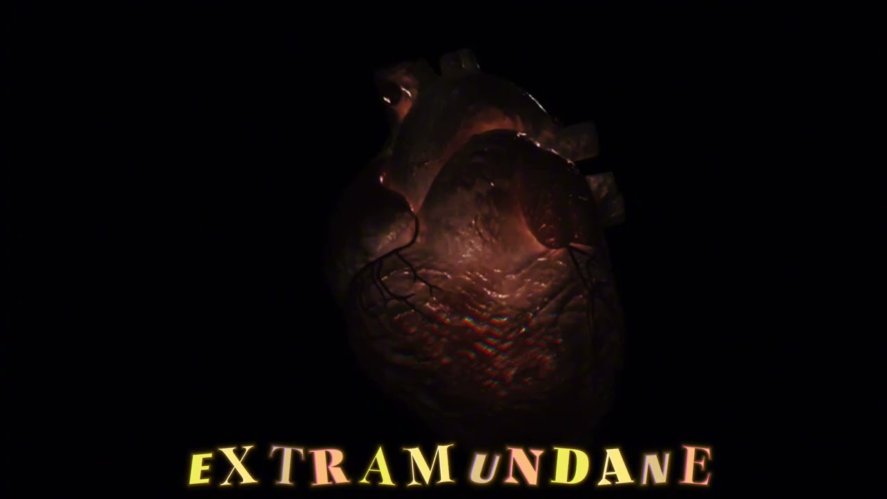 EXTRAMUNDANE. - Visualizer