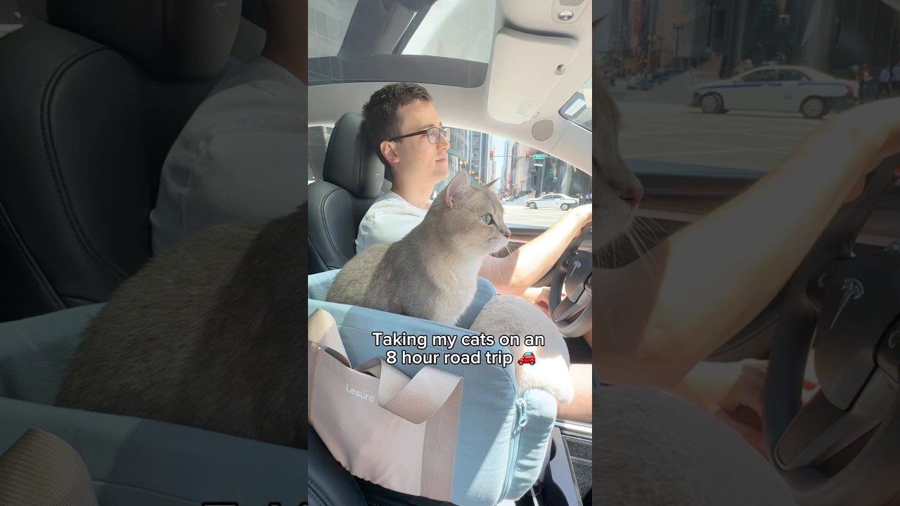 How Louie & Todd spent their time on our 8 hour road trip 🚗