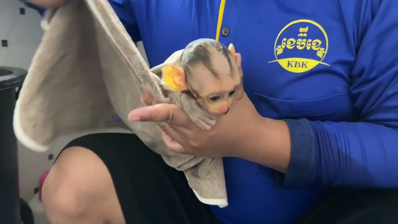 Babi Mnkey Criiies To Be For Night Bath