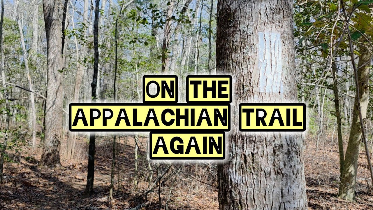 On the Appalachian Trail Again