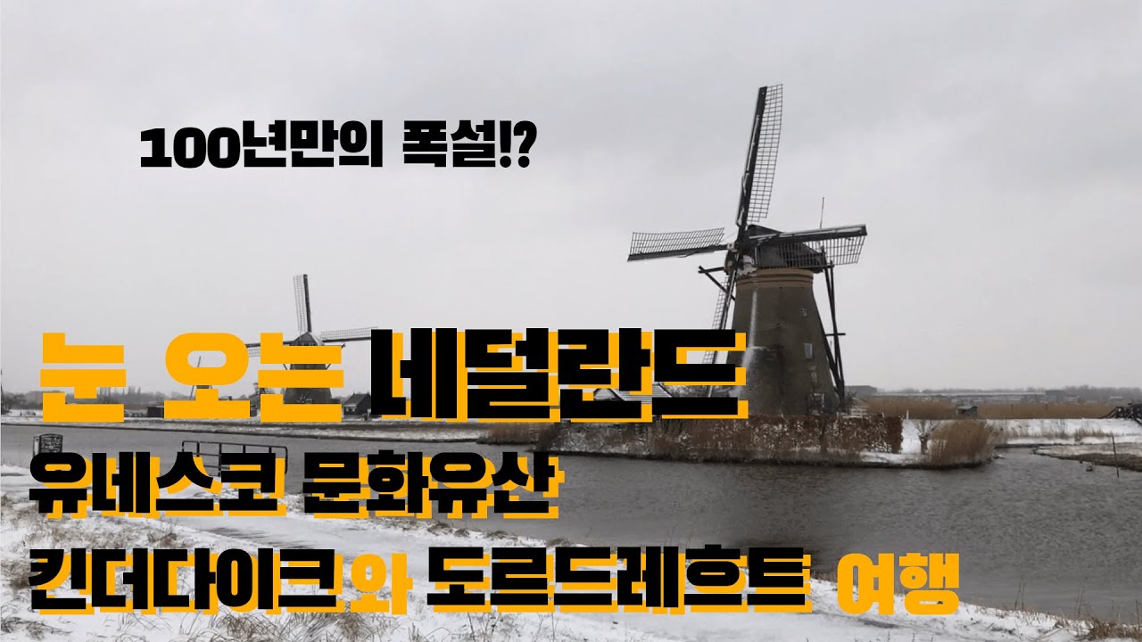 #2 네덜란드 브이로그 | 100년만의 폭설? 눈 오는 네덜란드 킨더다이크와 도르드레흐트 여행