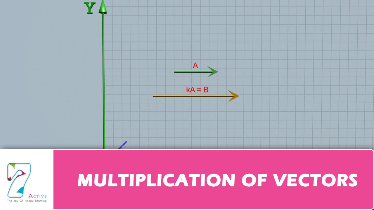 MULTIPLICATION OF VECTORS