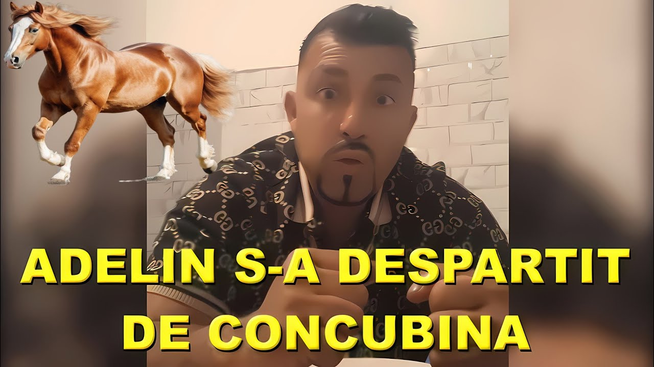ADELIN PETRISOR S-A DESPARTIT DE CONCUBINA