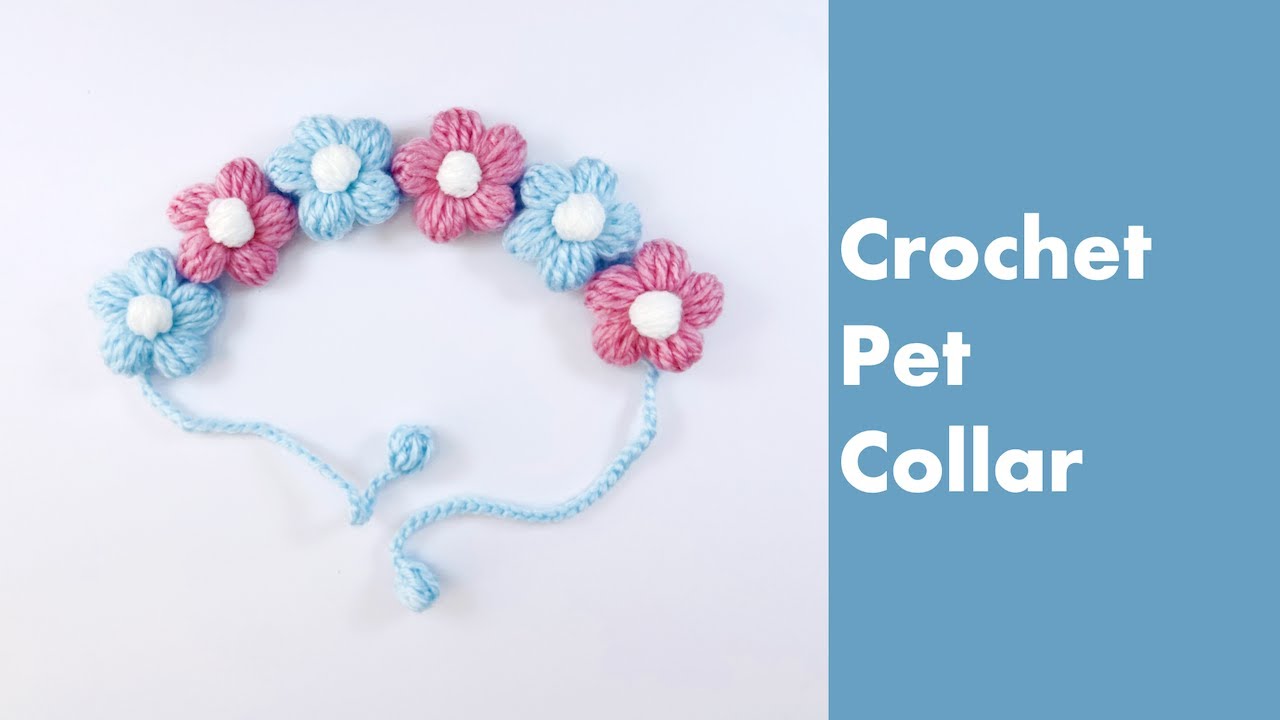Crochet pet collar with puff flowers | crochet cat collar | crochet dog collar