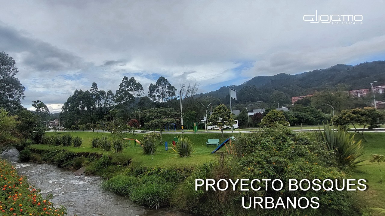 20260207_PROYECTO BOSQUES URBANOS 360 0017 Stitch XHC injected