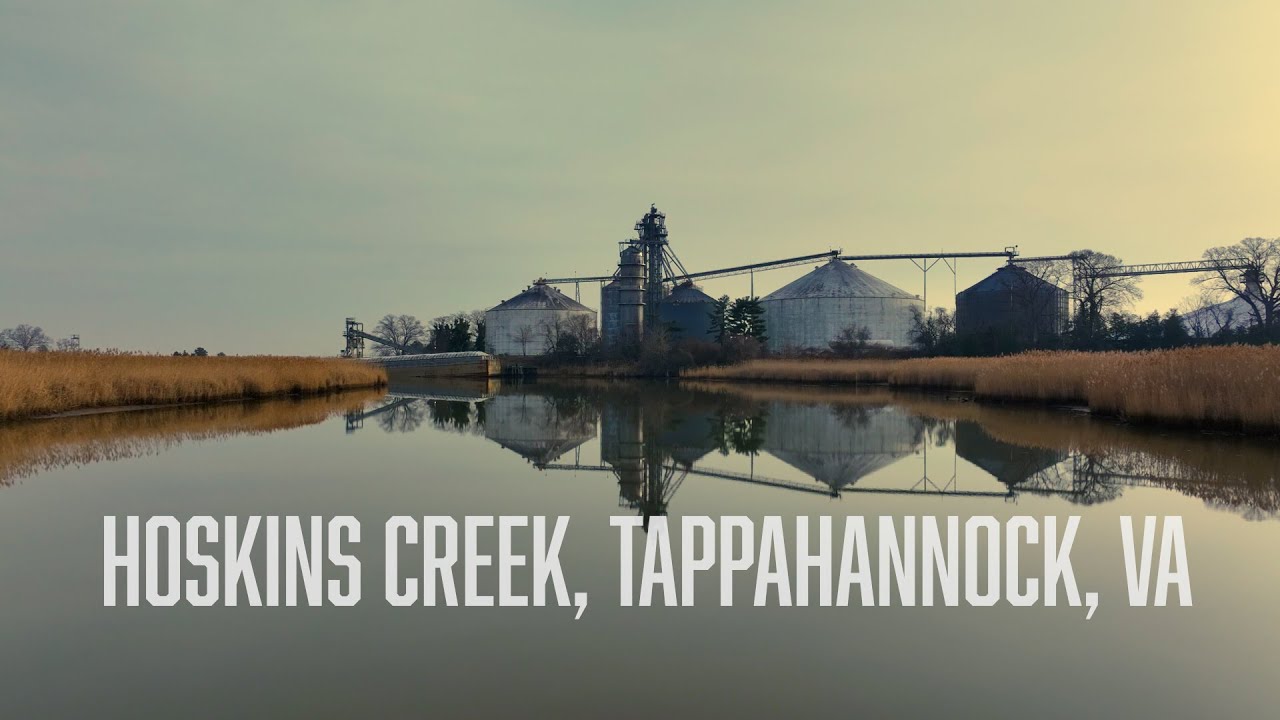 Hoskins Creek, Tappahannock, Virginia