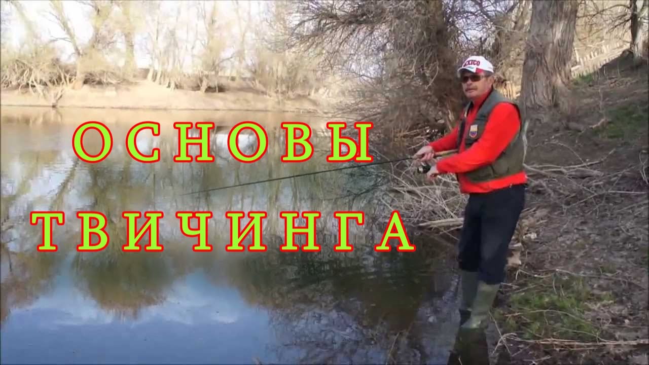Константин Кузьмин. Основы твичинга, 2013 год.