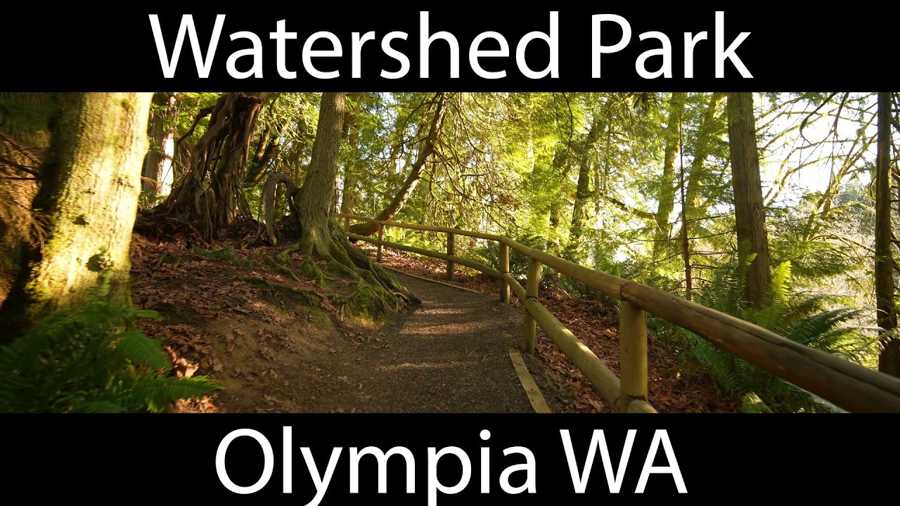 Watershed Park in Olympia, anamorphic widescreen, 4K 24fps, ASMR