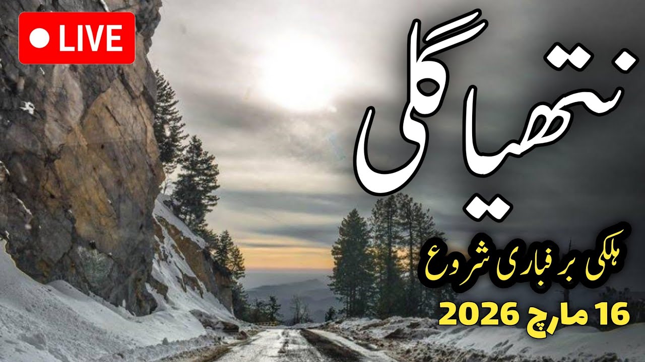 #nathiagali weather today | #murree nathiagali latest update | in nathiagali #snow possible on eid