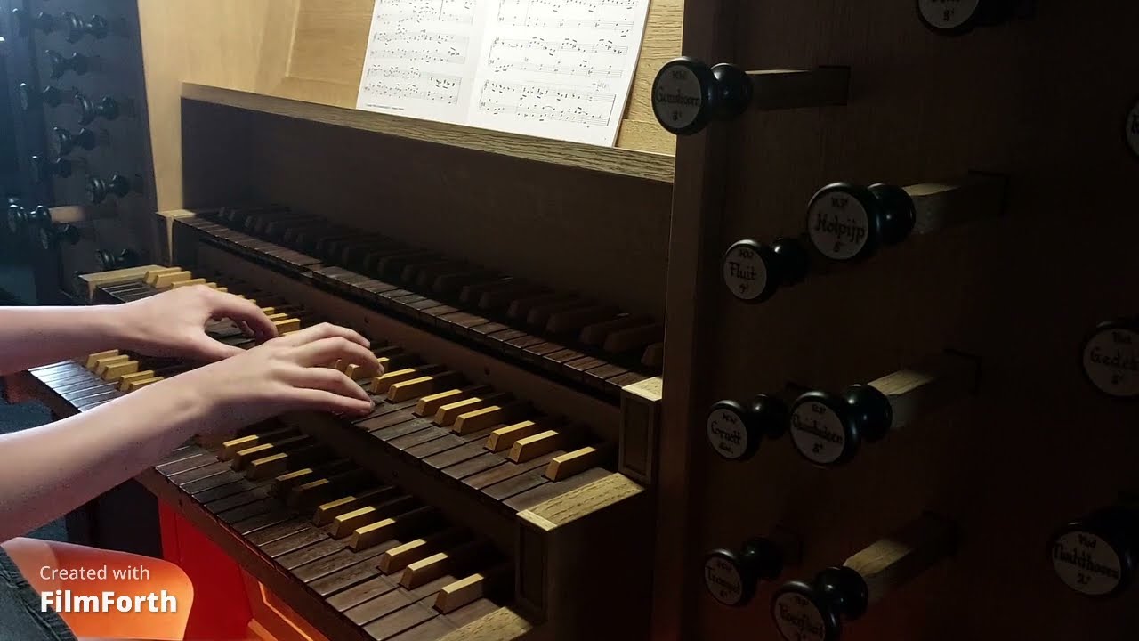Psalm 25 (Peter Eilander) | Orgel