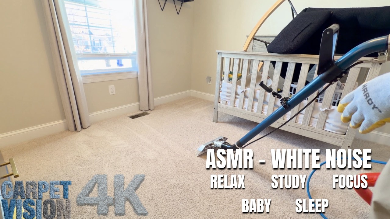 Carpet Cleaning ASMR | Vacuum + Agitation + Extraction = SOUND SLEEP