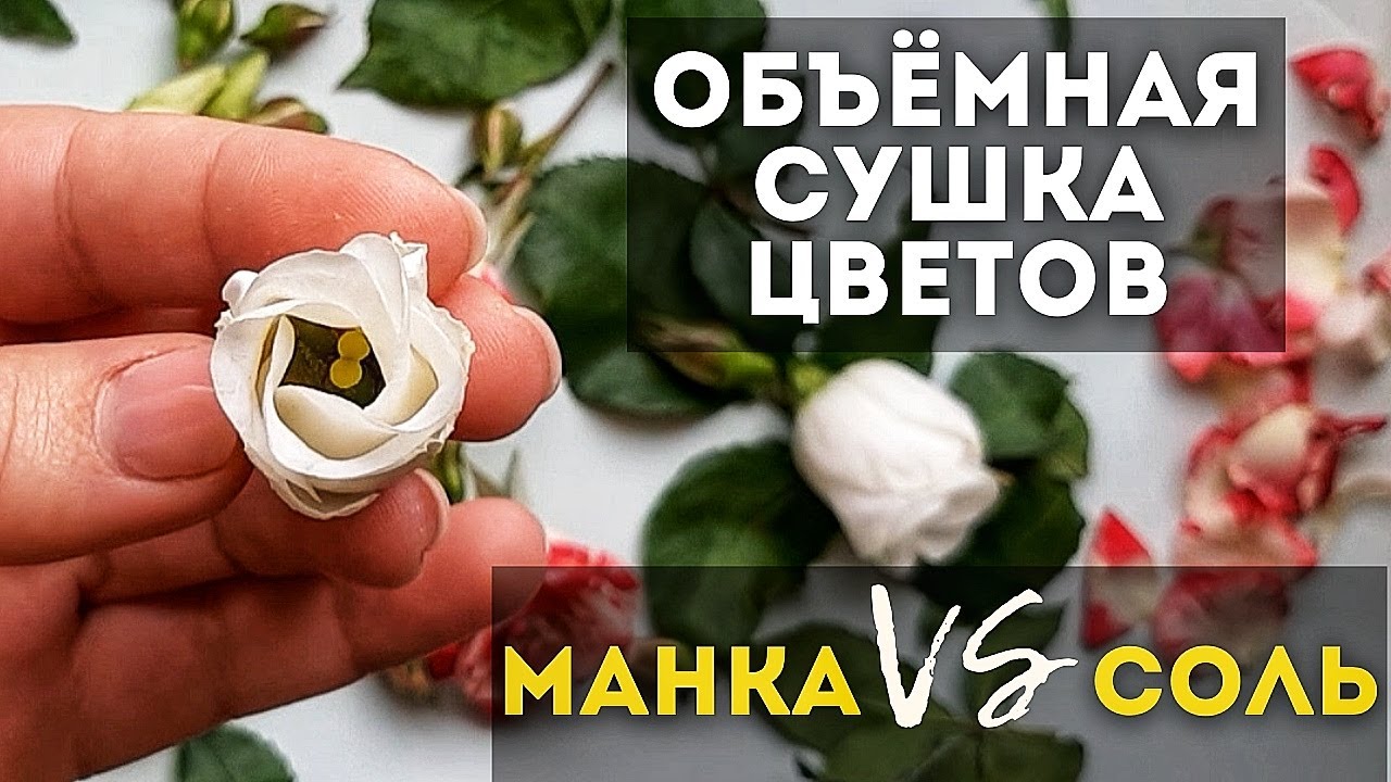 Объемная сушка цветов в СОЛИ и в МАНКЕ. Что лучше? Мой опыт.