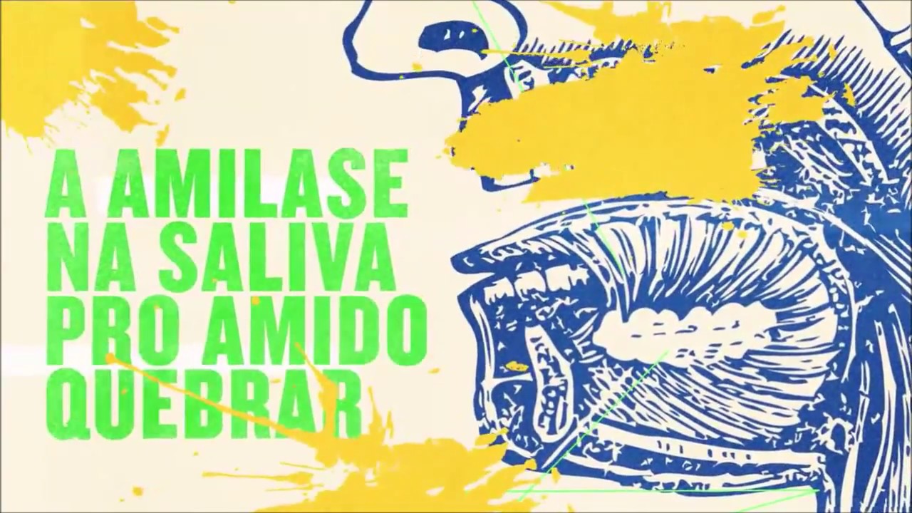 Rap da Digestão