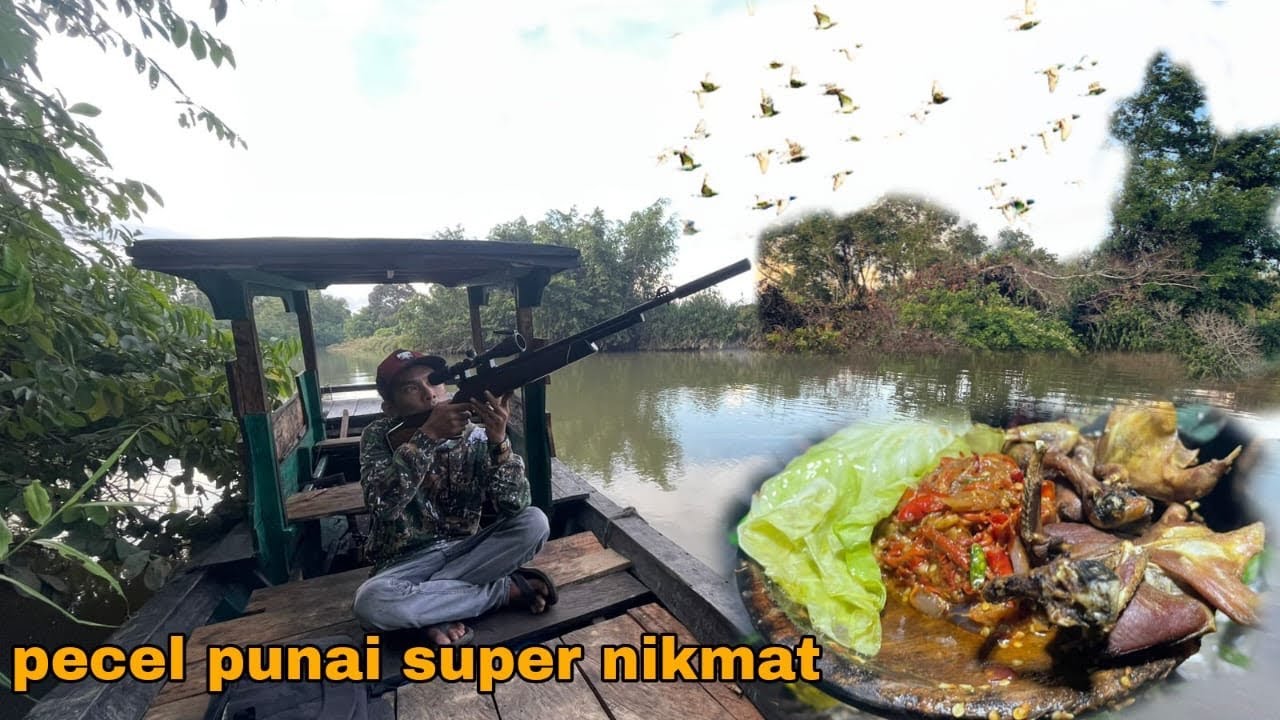 Nemu spot punai dipinggir sungai beringin berbuah tempat ratusan punai bertengger