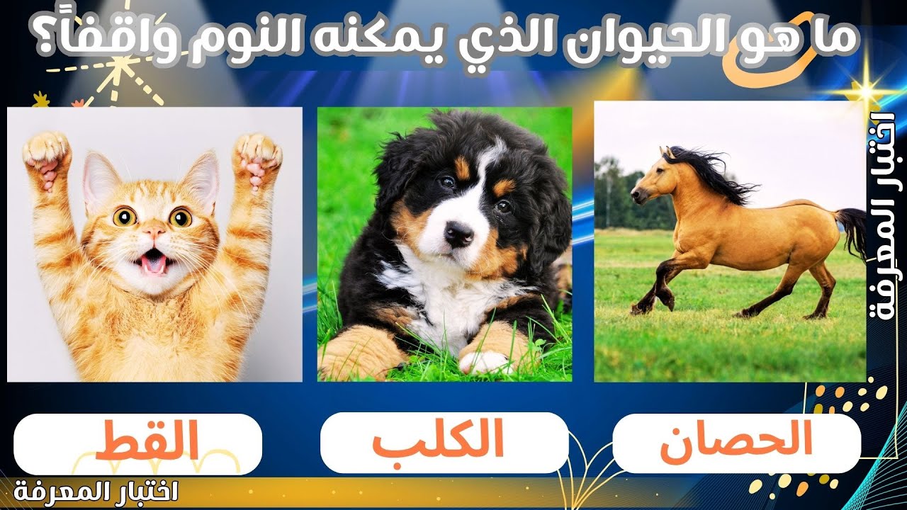 أسئلة وأجوبة ثقافة عامة 2025 | اختبر معلوماتك في التاريخ والعلوم والجغرافيا 🔥 تحدي ذكاء ممتع