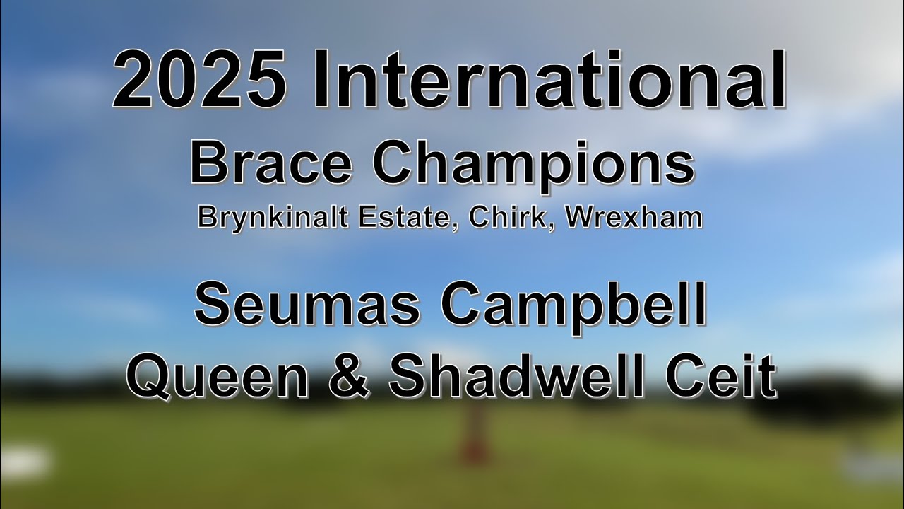 Seumas Campbell - Queen & Shadwell Ceit - 2025 International Sheep Dog Trials