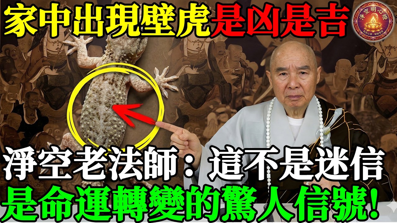 家中出現壁虎是凶是吉？淨空老法師：這不是迷信，是命運轉變的驚人信號！#淨空法師 #淨空老法師 #因果報應 #壁虎 #命運轉變 #阿彌陀佛 #淨土宗 #李炳南 #弟子規 #戒殺護生