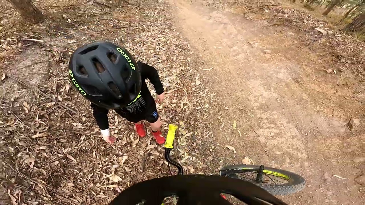 The Groms Hits Dungog Flow Trails