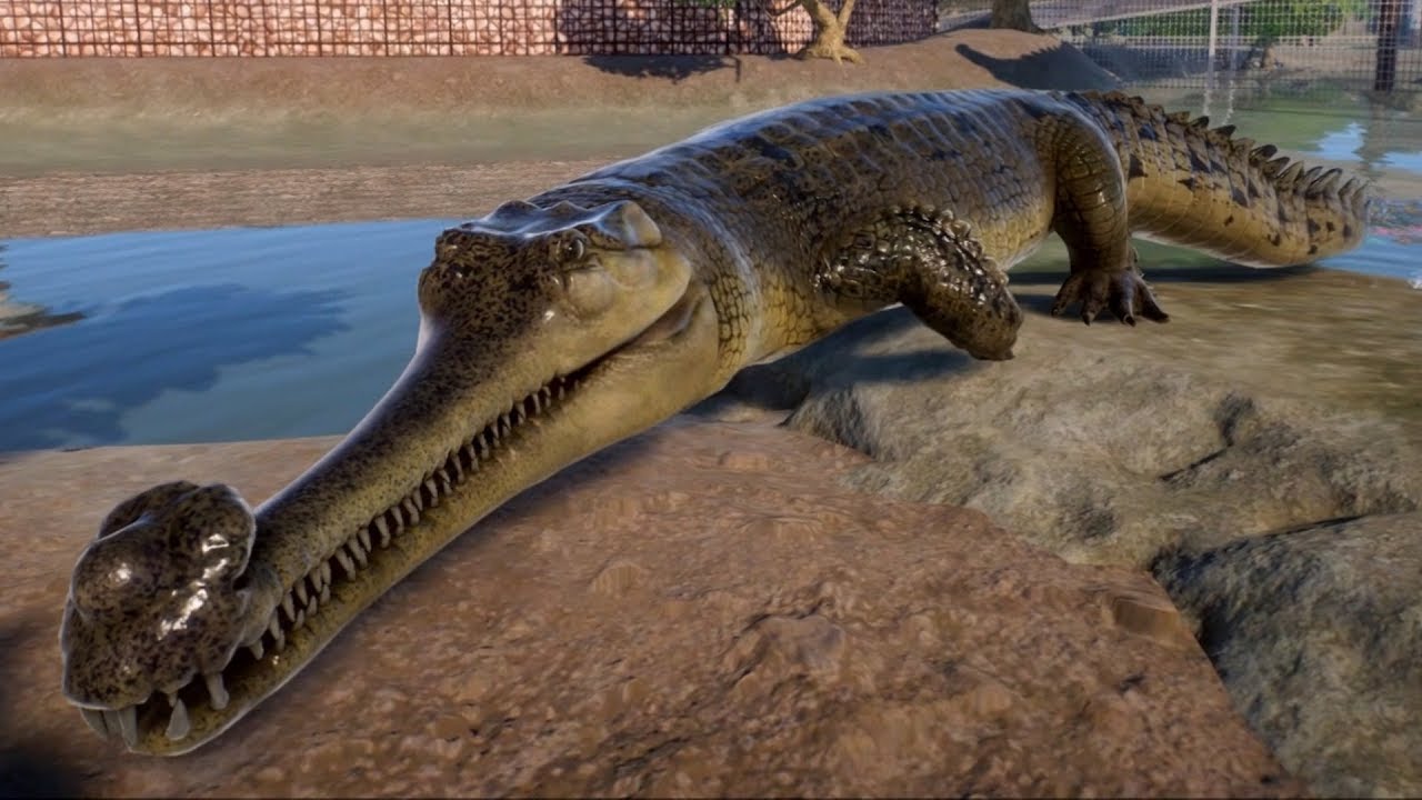 Planet Zoo - Gharial Gameplay (PC HD) [1080p60FPS]
