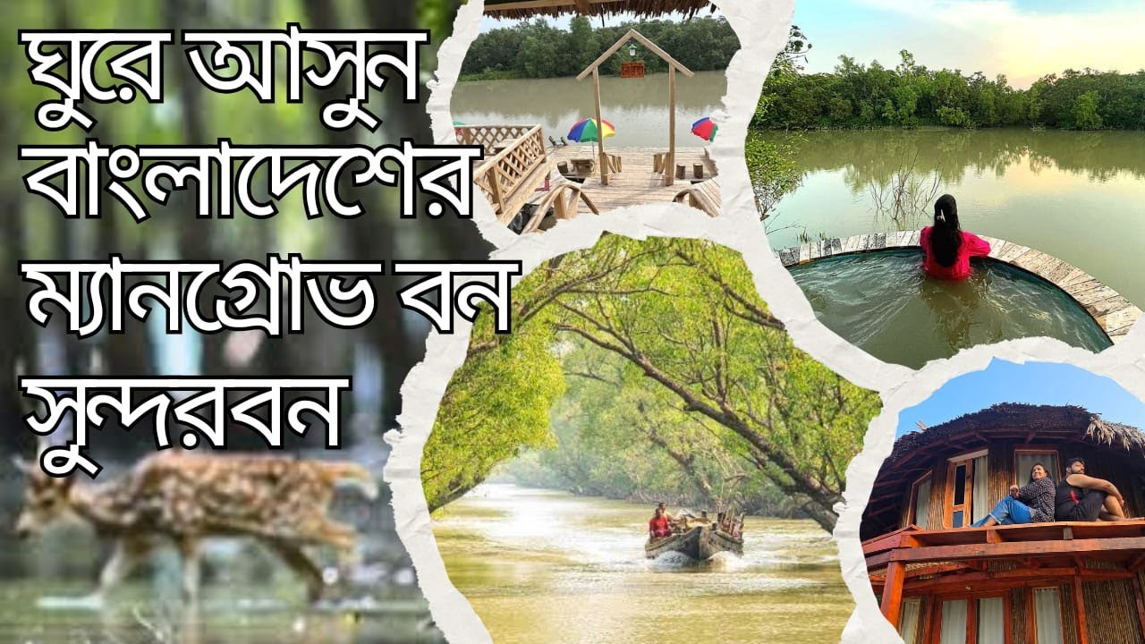 ঘুরে আসুন বাংলাদেশের ম্যানগ্রোভ বন সুন্দরবন