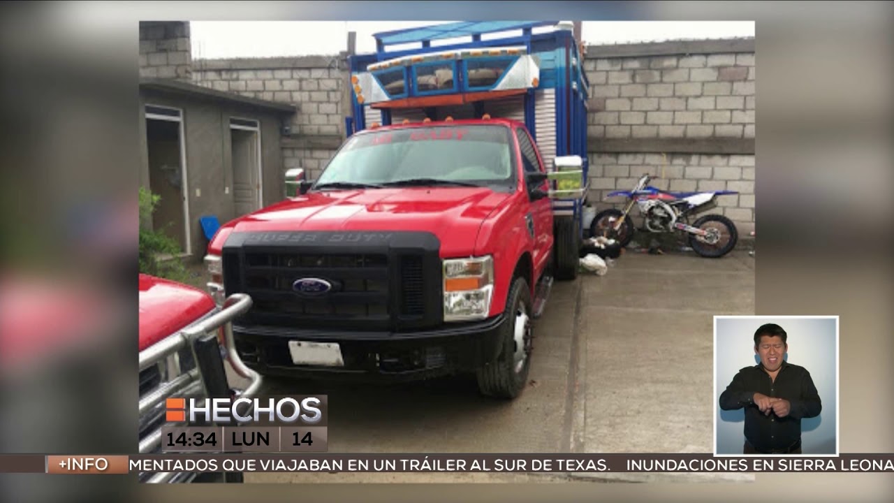 Decomisan animales en Rancho 
