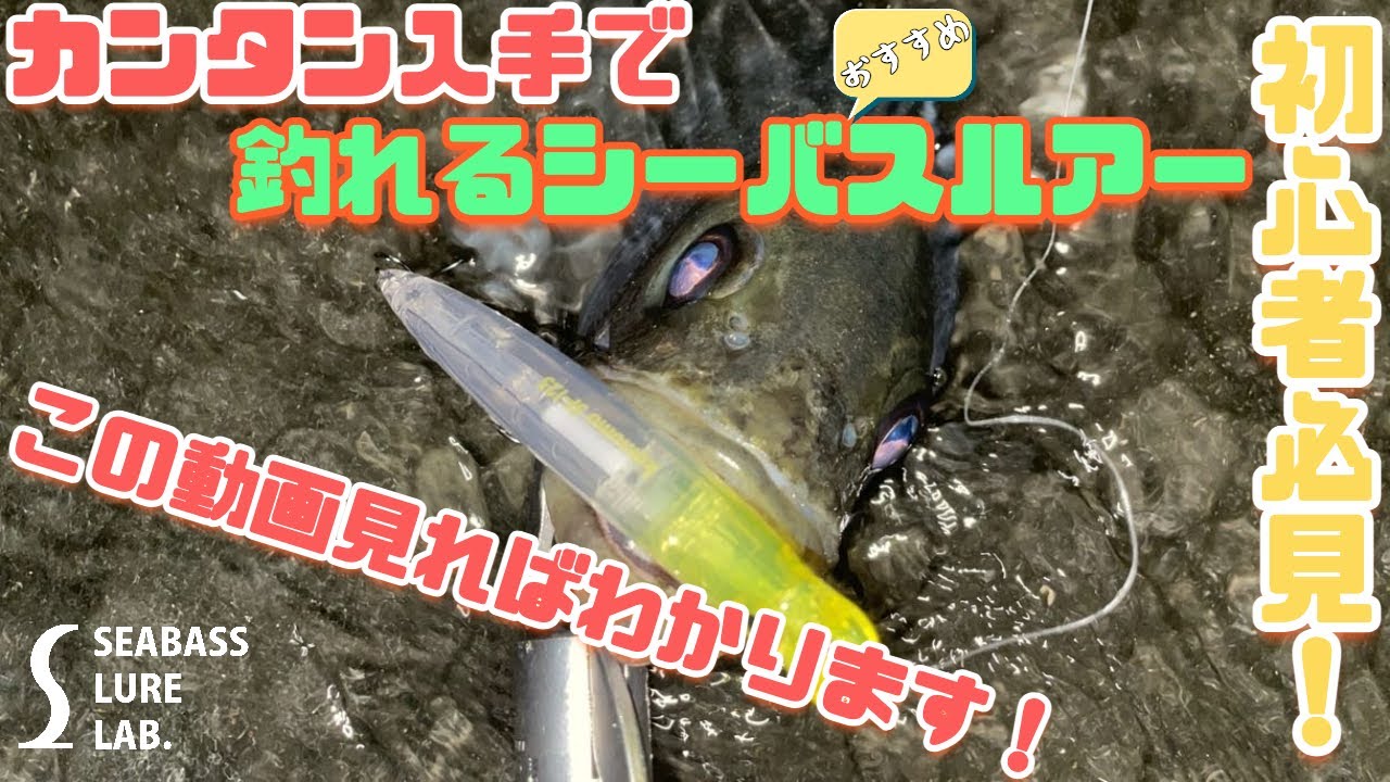 【水中映像】シーバス初心者必見！入手簡単！このルアーを買えばシーバスは釣れます！【ミノー】【シンペン】【バイブ】