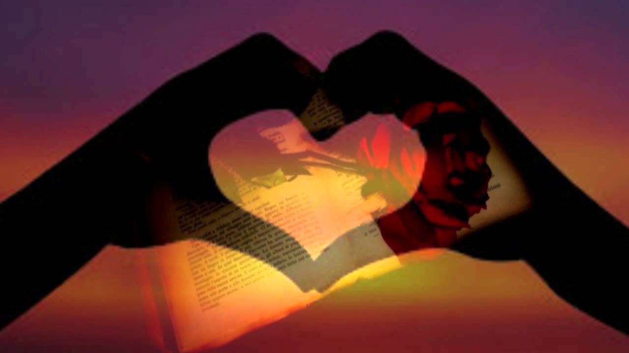 Schnopsidee - The Book of Love