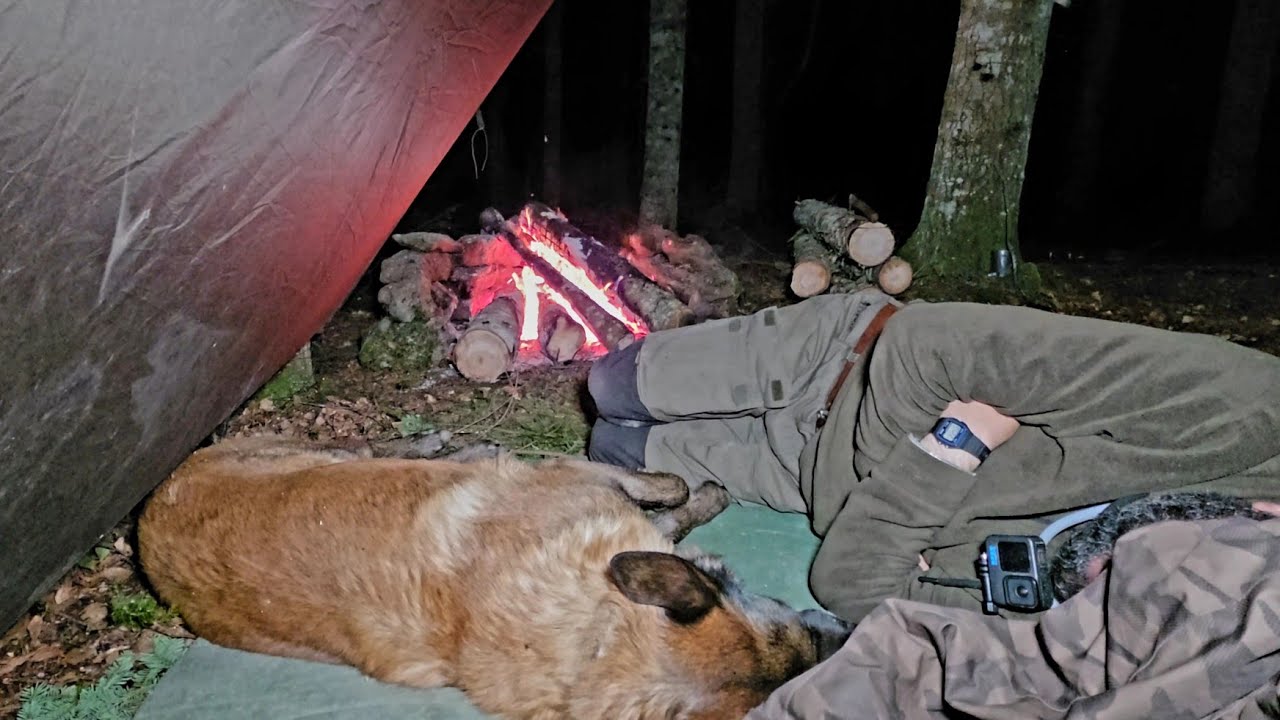 Something Came Into Our Camp at Night&hellip;