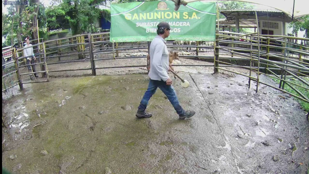 Lote Nro. 131