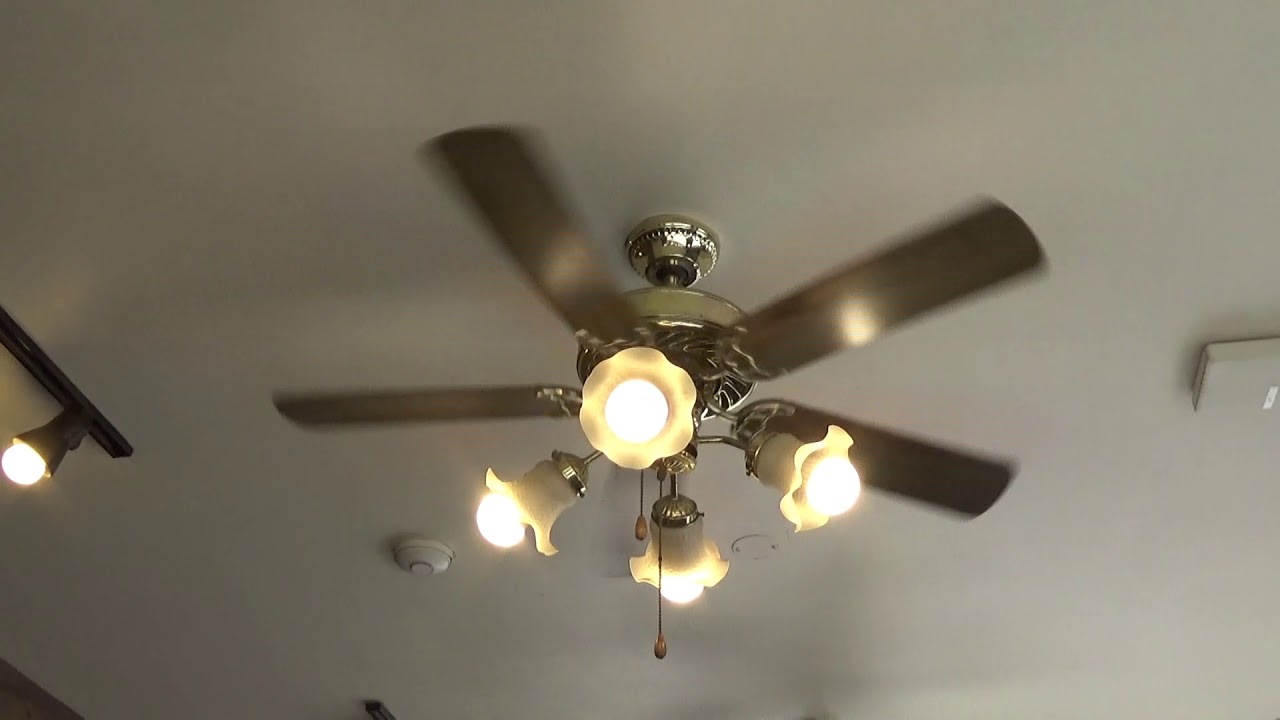 Ceiling Fans I took