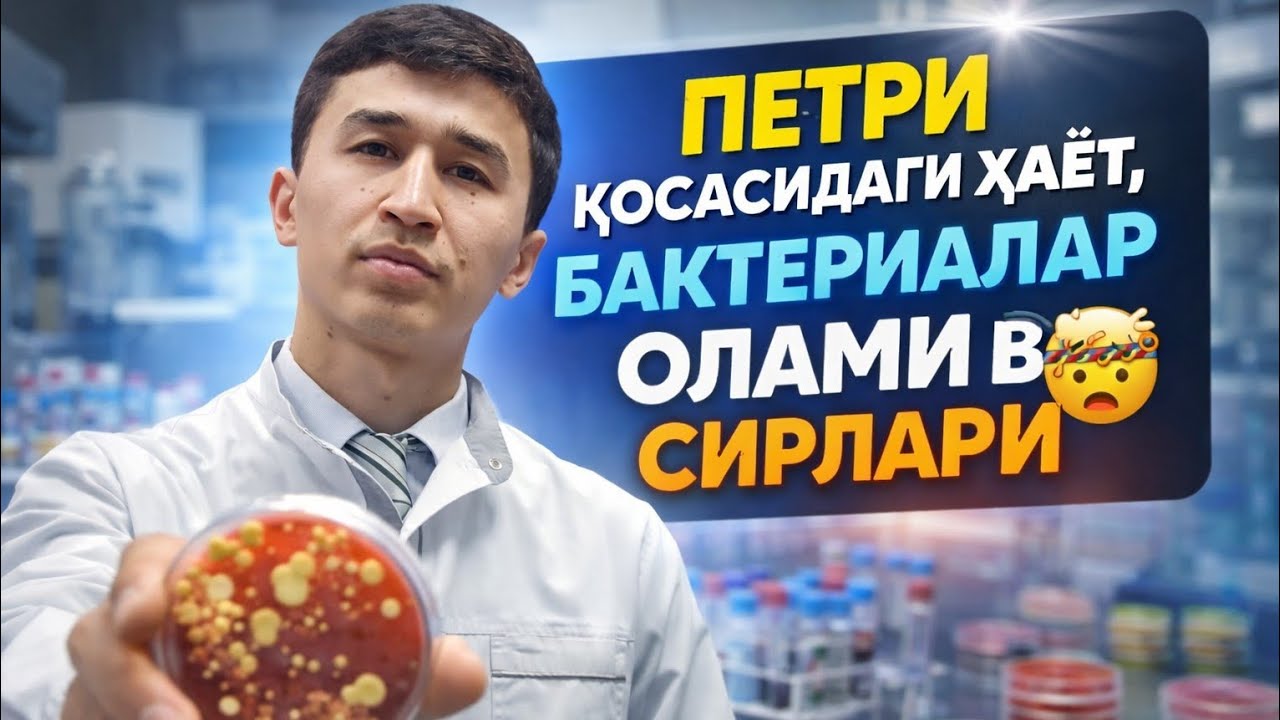 Петри косасидаги ҳаёт: бактериялар ҳикояси😱