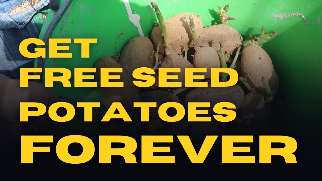 Get Free Seed Potatoes Forever