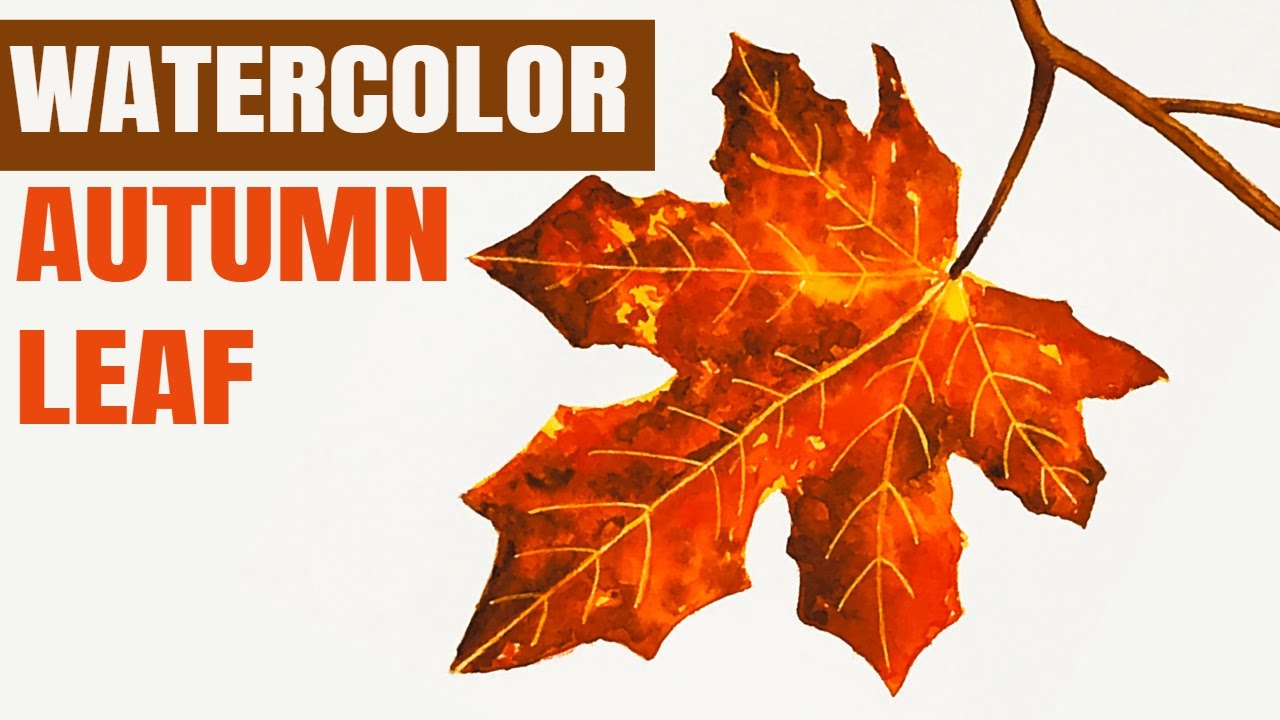 Watercolor Autumn Leaf Tutorial for Beginners // Paint an Easy Fall Maple Leaf