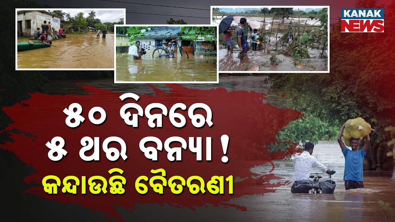 ୫୦ ଦିନରେ ୫ ବନ୍ୟା! | Special Report On Jajpur Flood | 5 Floods in 50 Days | Villagers Devastated