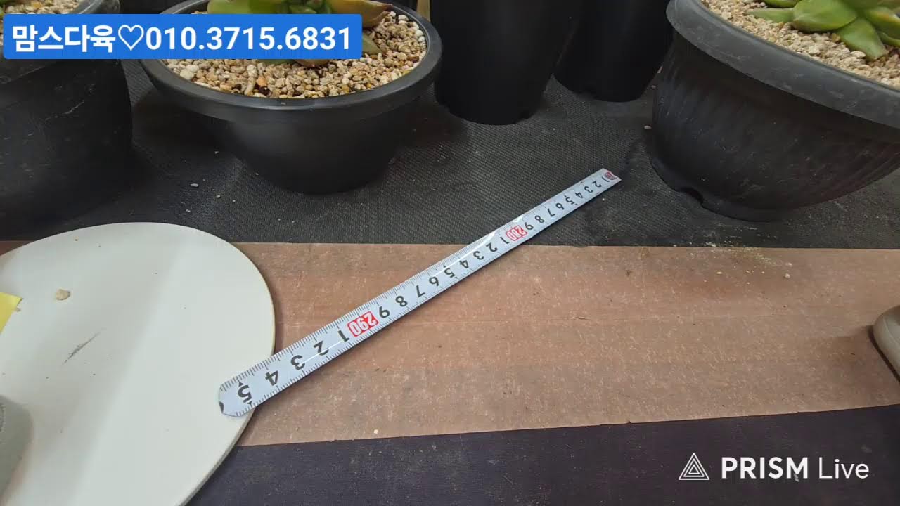 (2월26일맘스다육)1부
