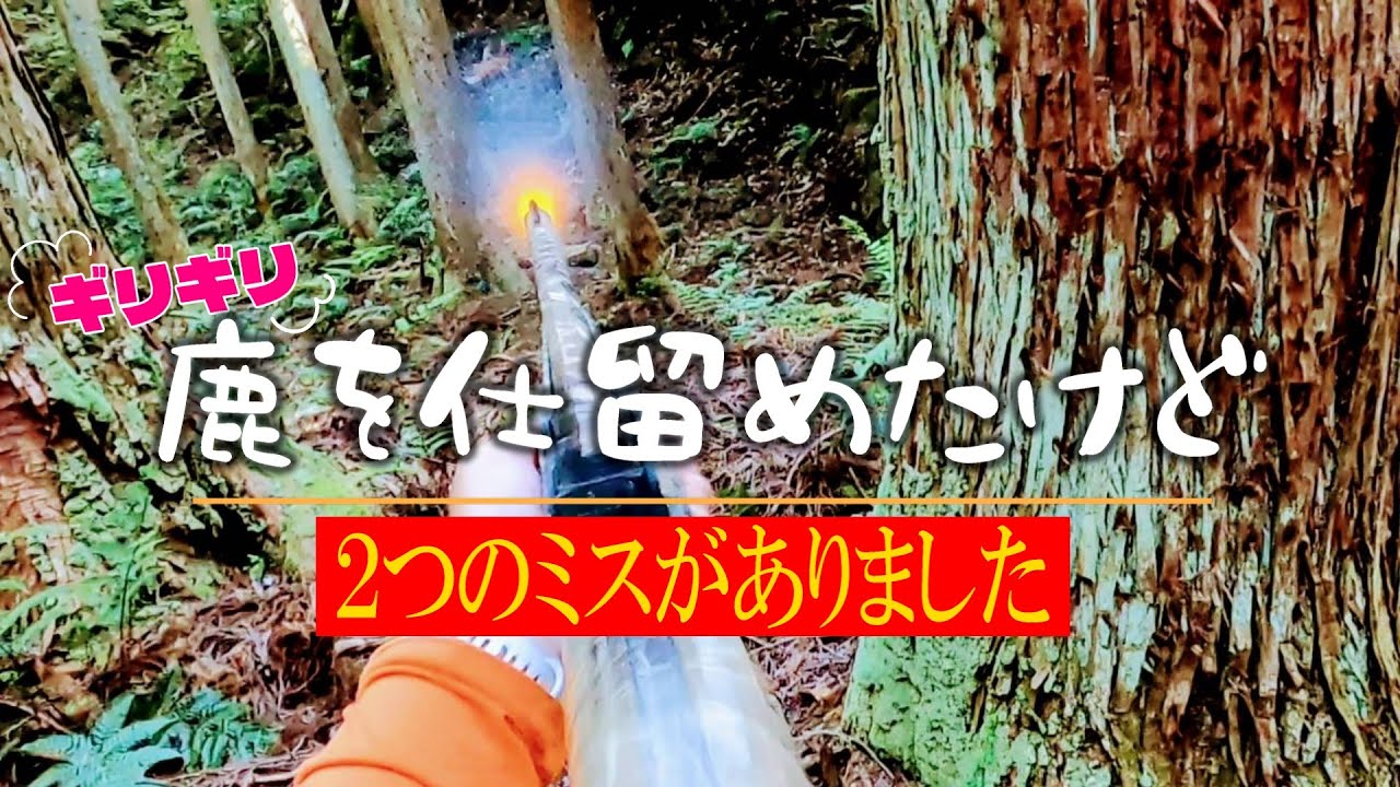 【狩猟】久しぶりに獲物が来たらパニック【巻き狩り】#狩猟映像　#狩猟初心者　#巻き狩り