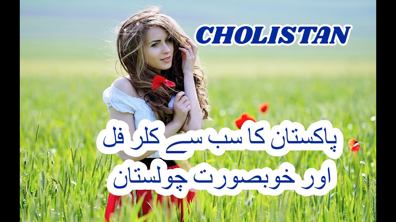 Pakistan Ka sabse Colorful And Beautiful Cholistan | ROhi | sair | Sasta Musafir Traveler
