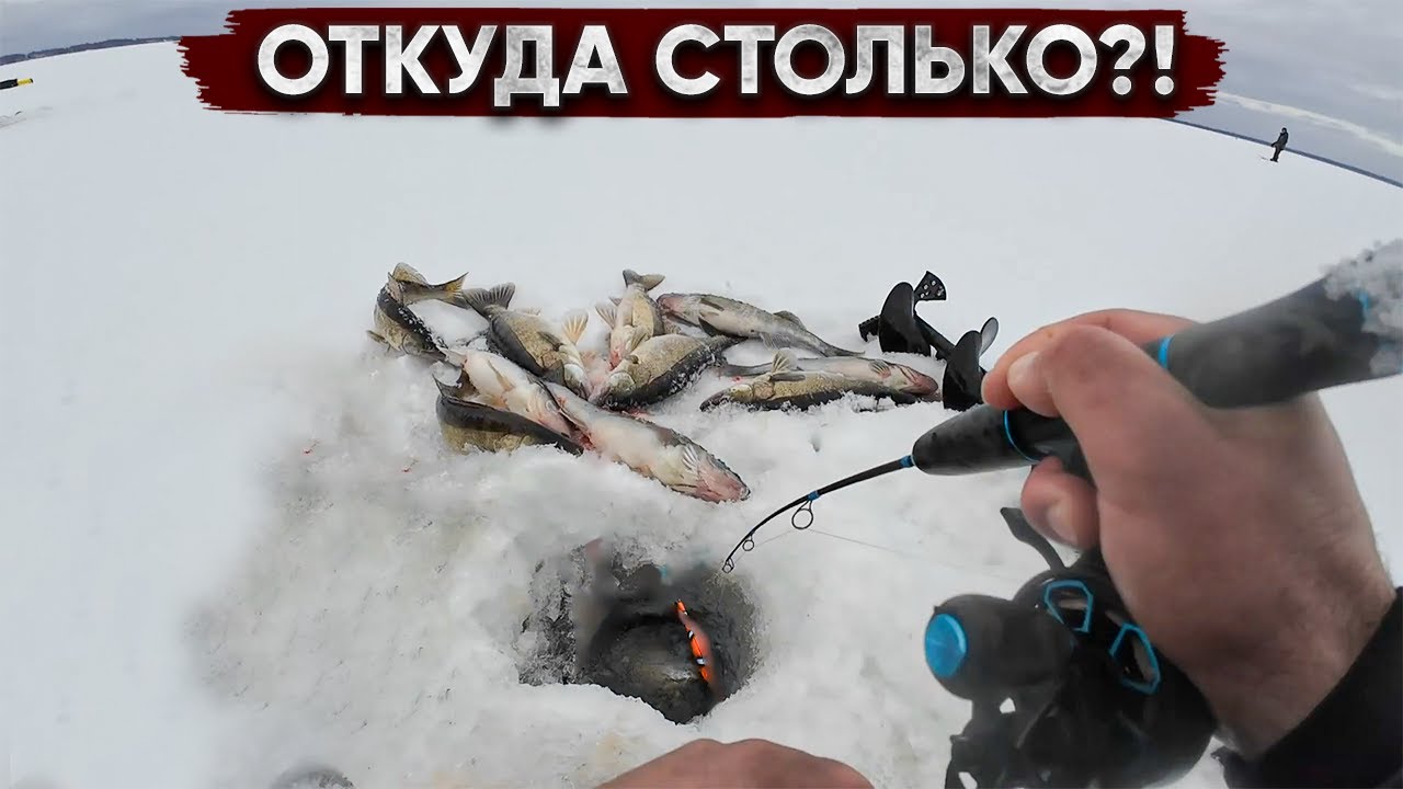 Нашел ТУ самую ВОЛШЕБНУЮ лунку или НЕВЕРОЯТНАЯ ВЕСЕННЯЯ РАЗДАЧА