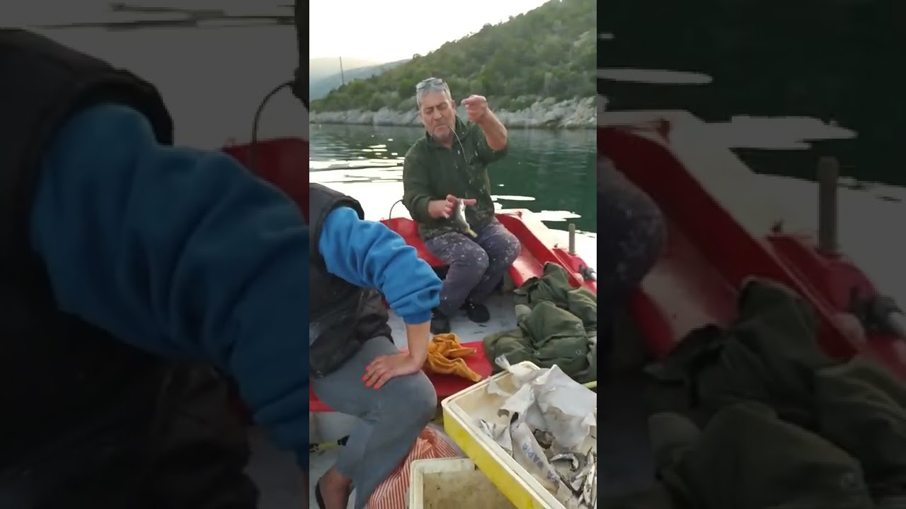 κοκκαλια κ σαφριδια με μοναγκιστρο..   ενα αποδοτικό ψαρεμα. δολωμα γαυρο🎣
